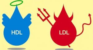 cholesterol-ldl