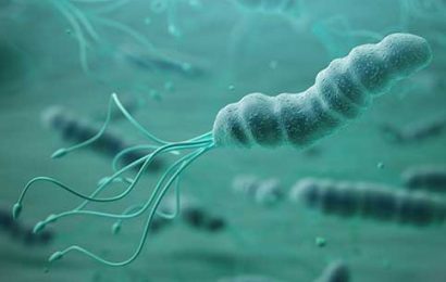 Nhiễm vi khuẩn H. pylori: Nguyên nhân, Triệu chứng, Cách điều trị