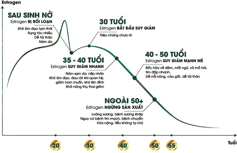 bieu-do-estrogen-theo-do-tuoi